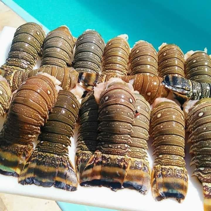 Pousada A Vida E Bela Águas Belas Екстериор снимка
